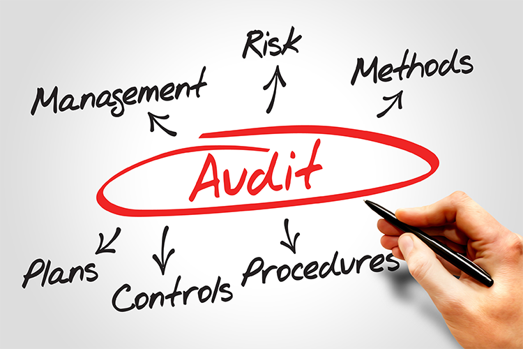 The word Audit written and red and circled with arrows pointing out from it to the words Management, Risk, Methods, Plans, Controls, and Procedure (written in black)